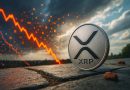 XRP defies bearish sentiment with active ledger and ETF inflows